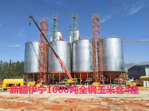 新疆伊寧1000噸全鋼玉米倉4座